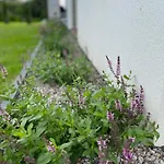 Biale Zagle Mazury Semesterbostad Węgorzewo