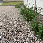 Biale Zagle Mazury Węgorzewo