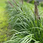 Biale Zagle Mazury Węgorzewo