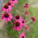 Biale Zagle Mazury Semesterbostad