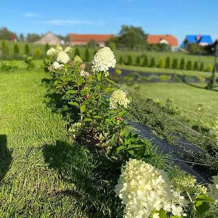 Biale Zagle Mazury