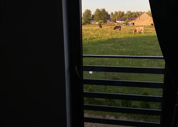 Biale Zagle Mazury Holiday home Wegorzewo