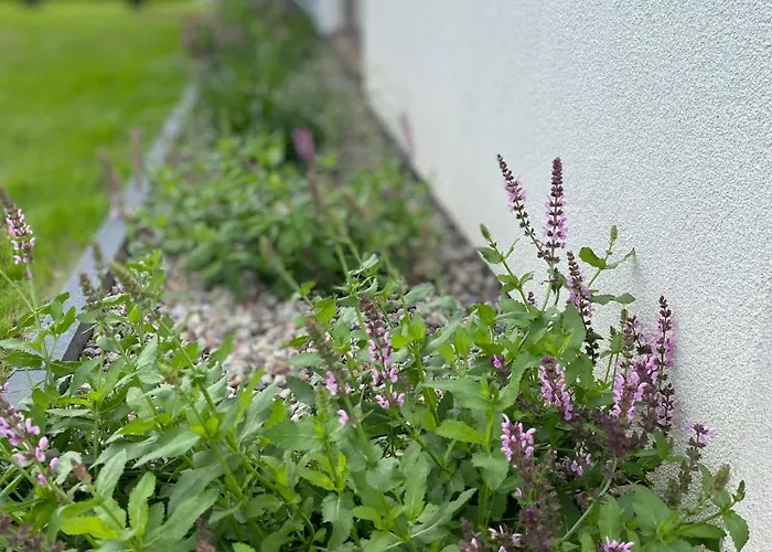 Biale Zagle Mazury Holiday home Wegorzewo