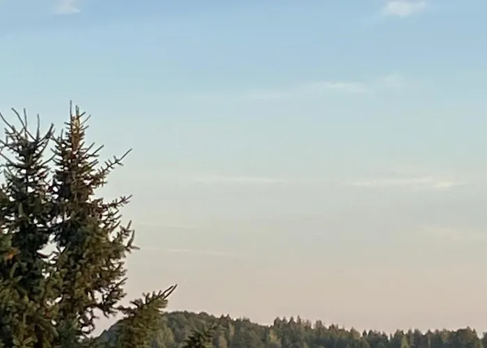 Biale Zagle Mazury Wegorzewo