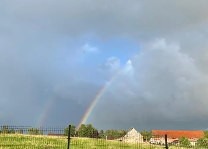 Biale Zagle Mazury *